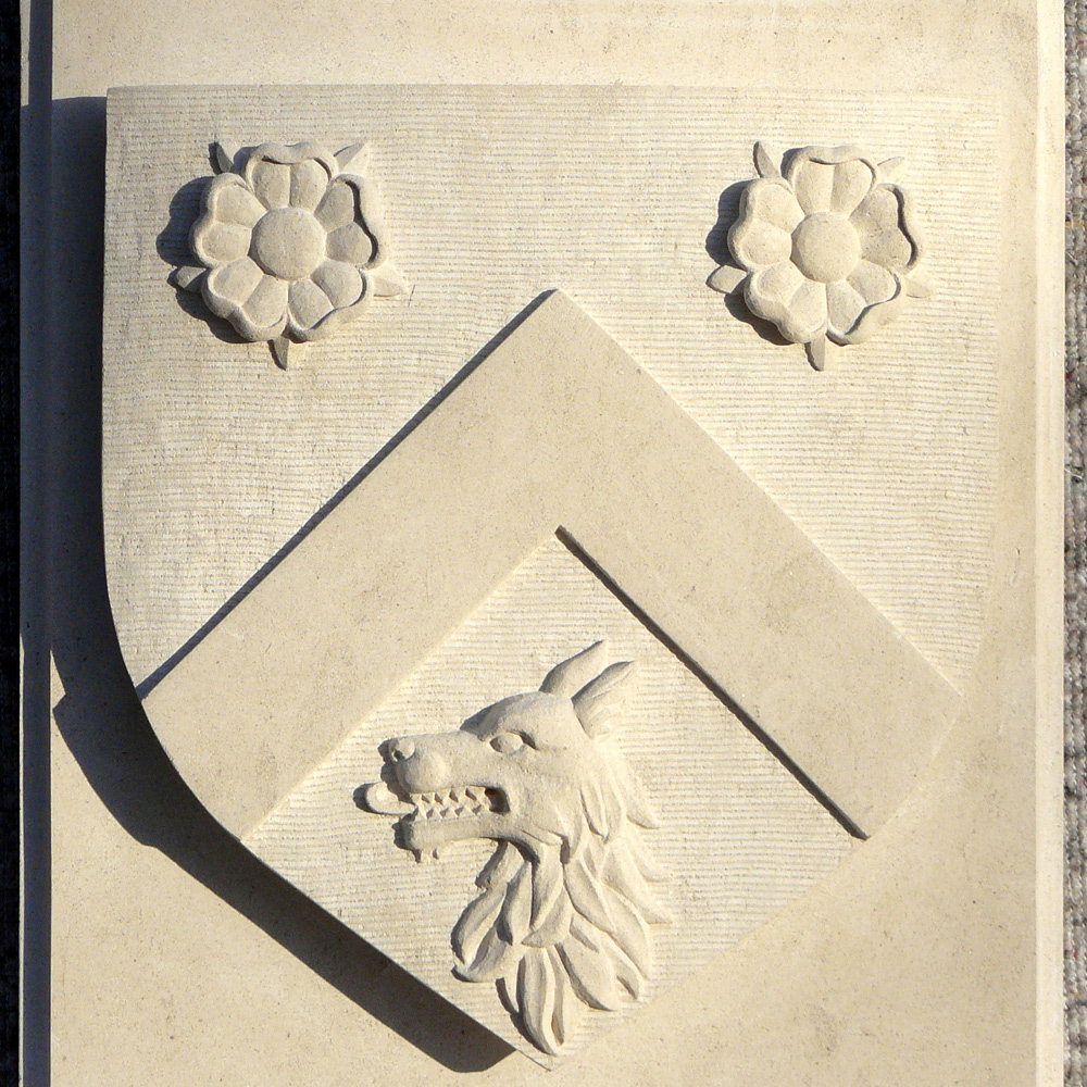 Portfolio-Image
